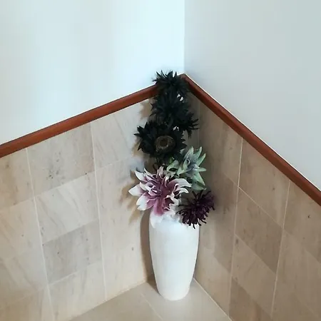 ビニャズ プレイス ベッド・アンド・ブレックファスト ナザレ